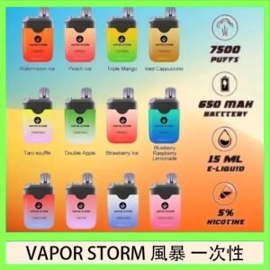 Vapor Storm風暴電子煙7500口（5%）一次性